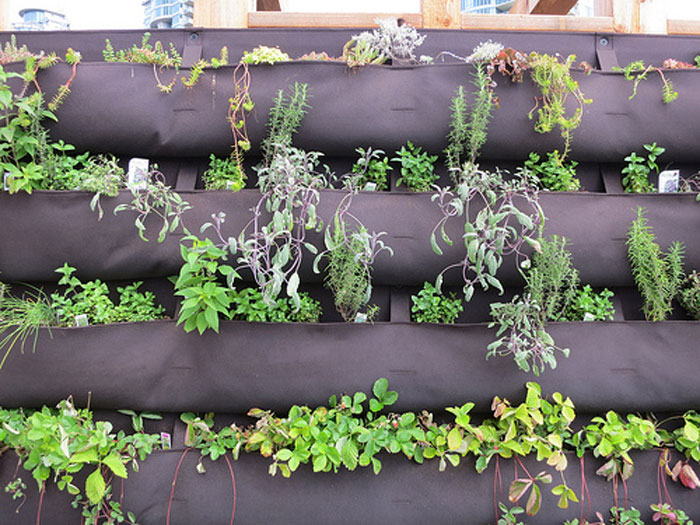 vertical herb gardening