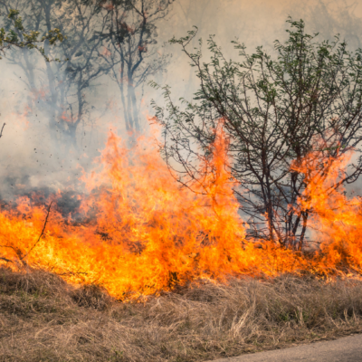 3 Ways to Protect Your Home from a Wildfire
