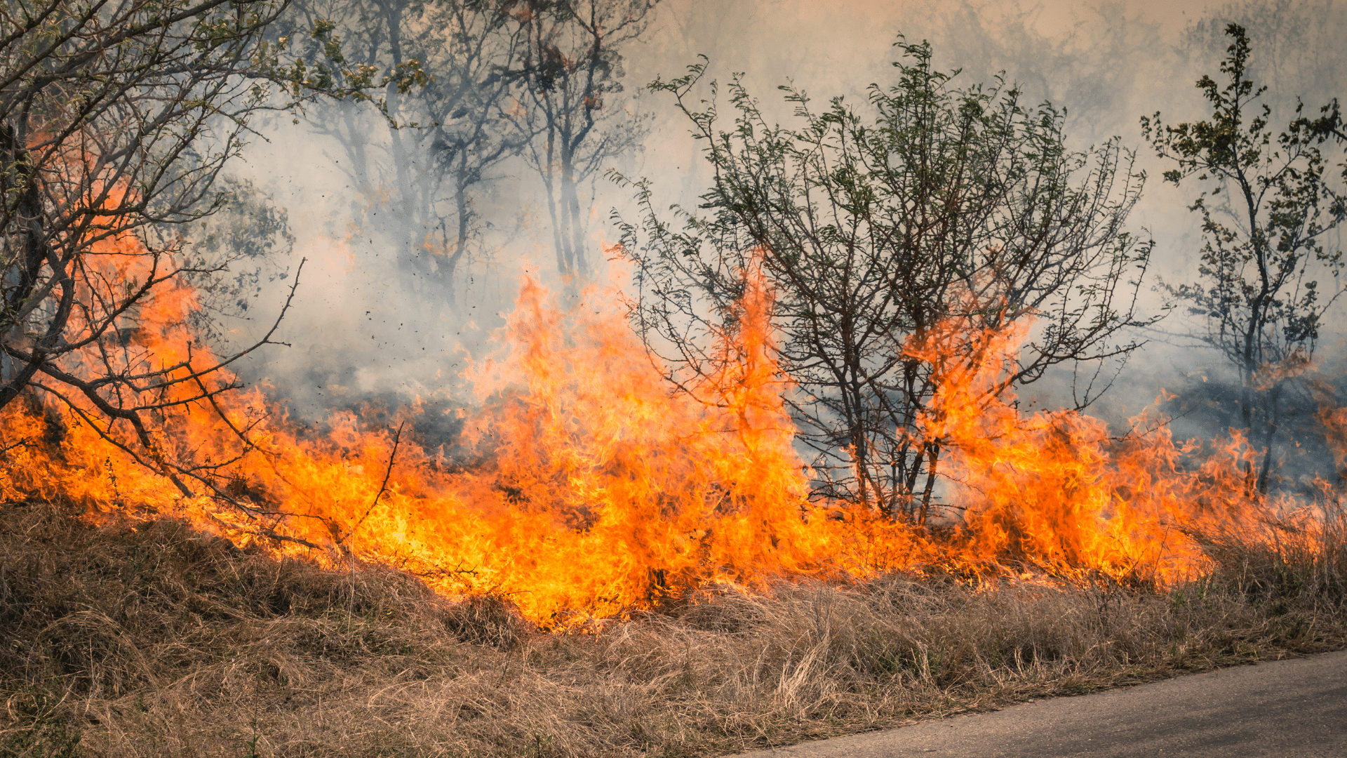 3 Ways to Protect Your Home from a Wildfire