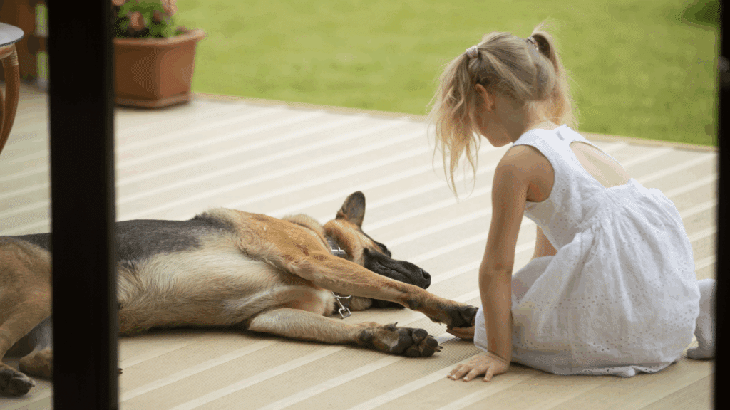 Pet Enjoying Covered Porch Mesa Awning