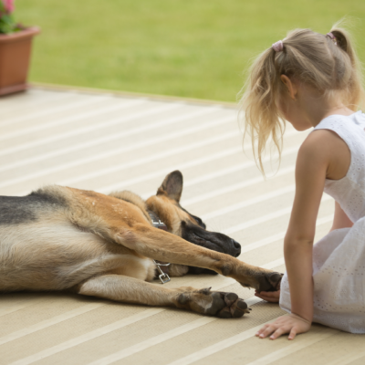 Pet Enjoying Covered Porch Mesa Awning