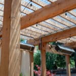2026 Backyard Living Trends